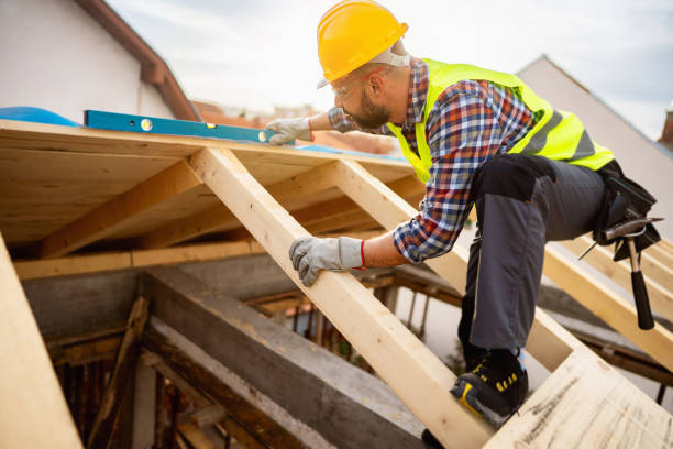 Best Roof Gutter Cleaning  in Carrizozo, NM